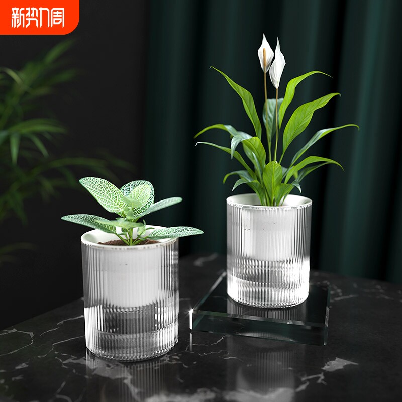 懒人绿萝植物自动吸水花盆透明水培器皿塑料玻璃水养花瓶绿箩专用