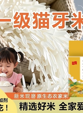 长粒猫牙大米软糯香甜米新品上市南方晚稻大米现磨家人小孩爱吃