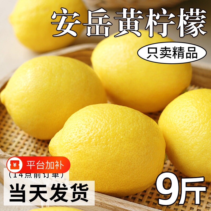 四川安岳黄柠檬新鲜应当季水果皮薄一级香水鲜酸包邮9斤现摘精选