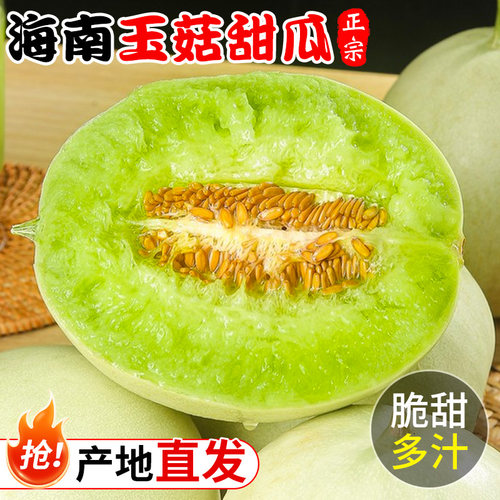 海南玉菇甜瓜9斤新鲜水果