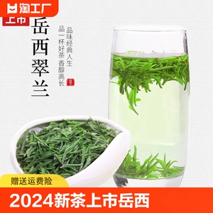 2024新茶上市岳西翠兰500g袋装明前一级高山云雾绿茶茶叶国兵礼茶