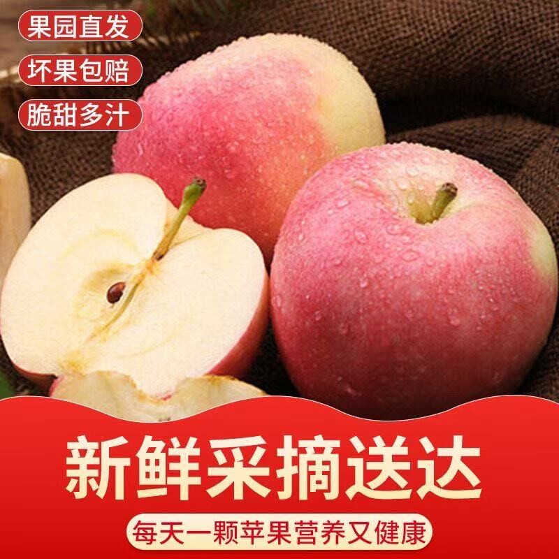 现摘现发红富士正宗冰糖苹果水果新鲜脆甜整箱批发果园
