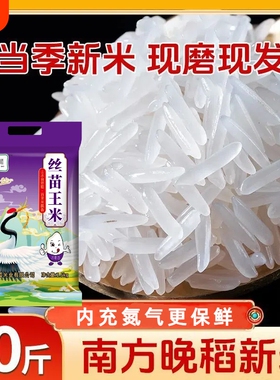 正宗晚稻丝苗米大米长粒香南方猫牙米煲仔饭蛋炒饭新米试吃优质