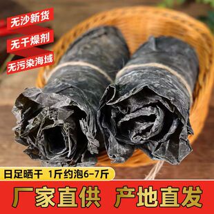 福建海带干货优质新货整片霞浦直发特厚海带凉拌炖汤营养美味海鲜