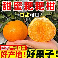 正宗四川眉山春见耙耙柑净重4.5斤