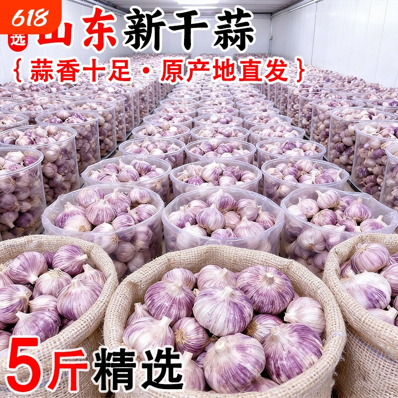 【金乡大蒜】今年大蒜头干蒜新蒜山东紫皮新鲜蔬菜蒜瓣农家批发