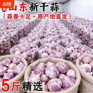 【金乡大蒜】今年大蒜头干蒜新蒜山东紫皮新鲜蔬菜蒜瓣农家批发