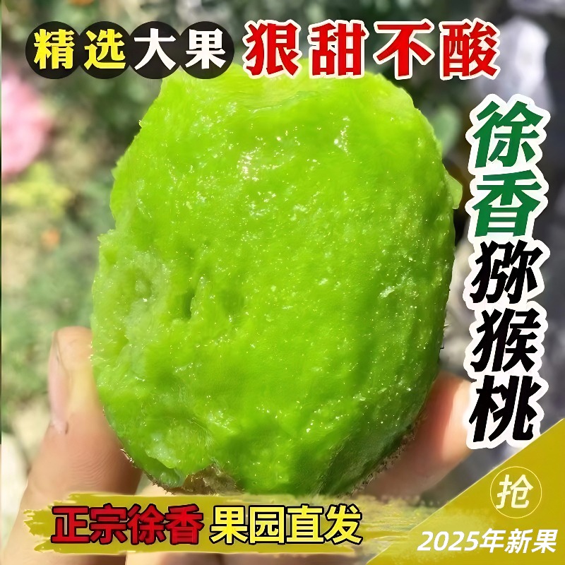 正宗陕西周至徐香猕猴桃陕西周至
