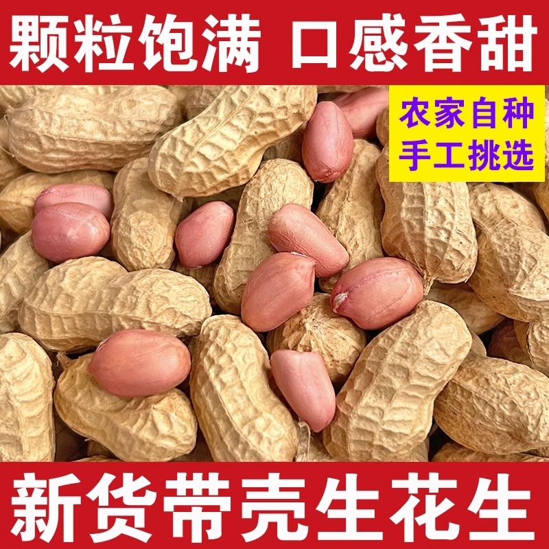 带壳生花生新货薄壳原味粉红皮花生晒干新鲜小花生米水煮做种好吃
