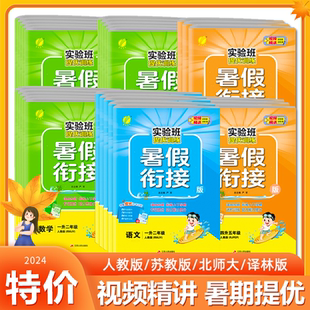 北师青岛江苏教版 2024春雨实验班暑假衔接一升二升三四五六年级下册语文数学英语全套人教版 同步训练暑假作业一本通同步提优训练