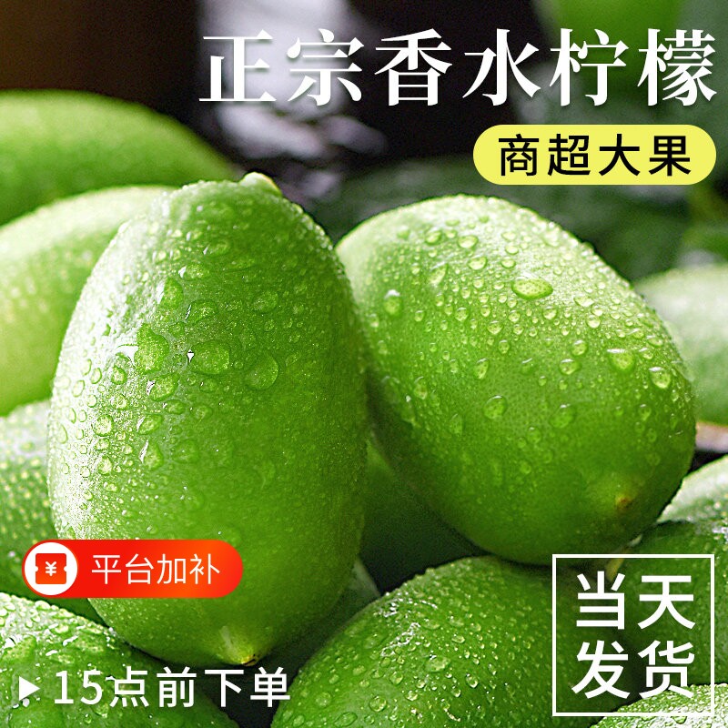 香水柠檬新鲜特级水果9斤云南无籽青柠檬奶茶店用香柠檬现摘大果