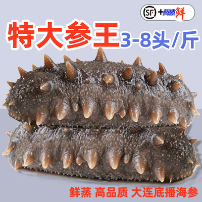 海参开袋即食大连鲜活野生辽参非干货刺参独立包装真空袋海参