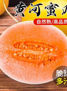 正宗头茬甘肃民勤黄河蜜瓜沙漠大甜瓜当季新鲜黄金蜜瓜香瓜哈密瓜