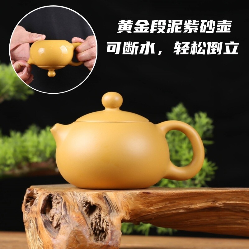 紫砂壶茶壶黄金小号泡茶壶段泥手工壶陶瓷家用茶具西施壶单壶养壶