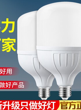 led螺口灯泡室内厨房客厅e27白光节能灯家用无频闪耐用照明球泡灯