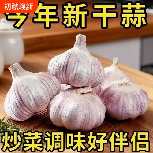 山东金乡新干蒜紫白皮大蒜多瓣大蒜头新鲜食用蒜子可做种可腌糖蒜