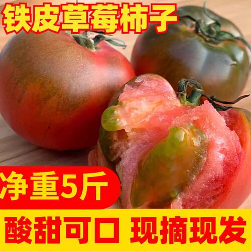 丹东铁皮柿子草莓柿子碱地柿子油柿美味果实新鲜自然成熟顺丰包邮
