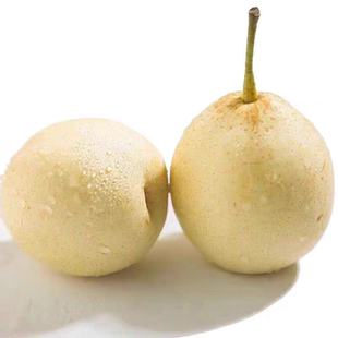 正宗河北鸭梨3斤新鲜水果脆甜多汁梨子薄皮肉细鸭梨应季脆梨包邮