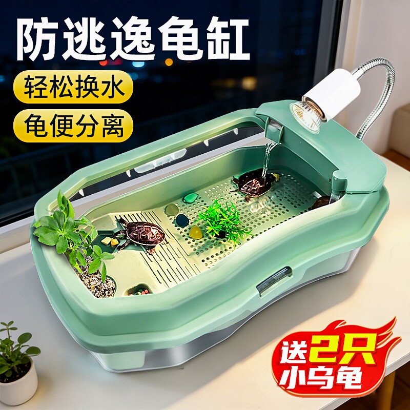 小乌龟宠物观赏龟缸中华草龟珍珠巴西好苗耐活物喂食饲养晒背围栏