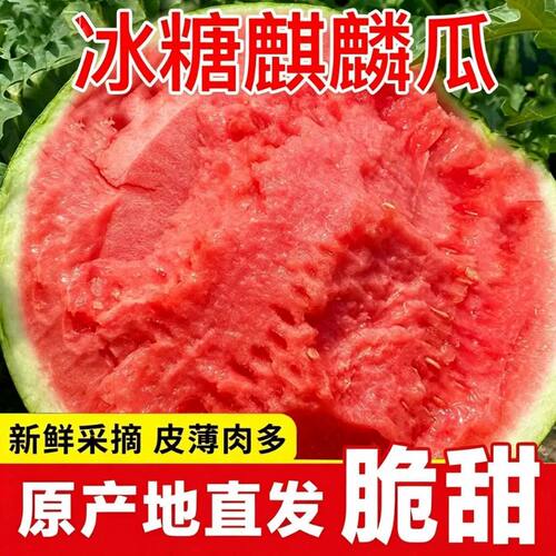 正宗冰糖麒麟西瓜脆甜西瓜新鲜水果应季新鲜麒麟西瓜夏日解暑必备