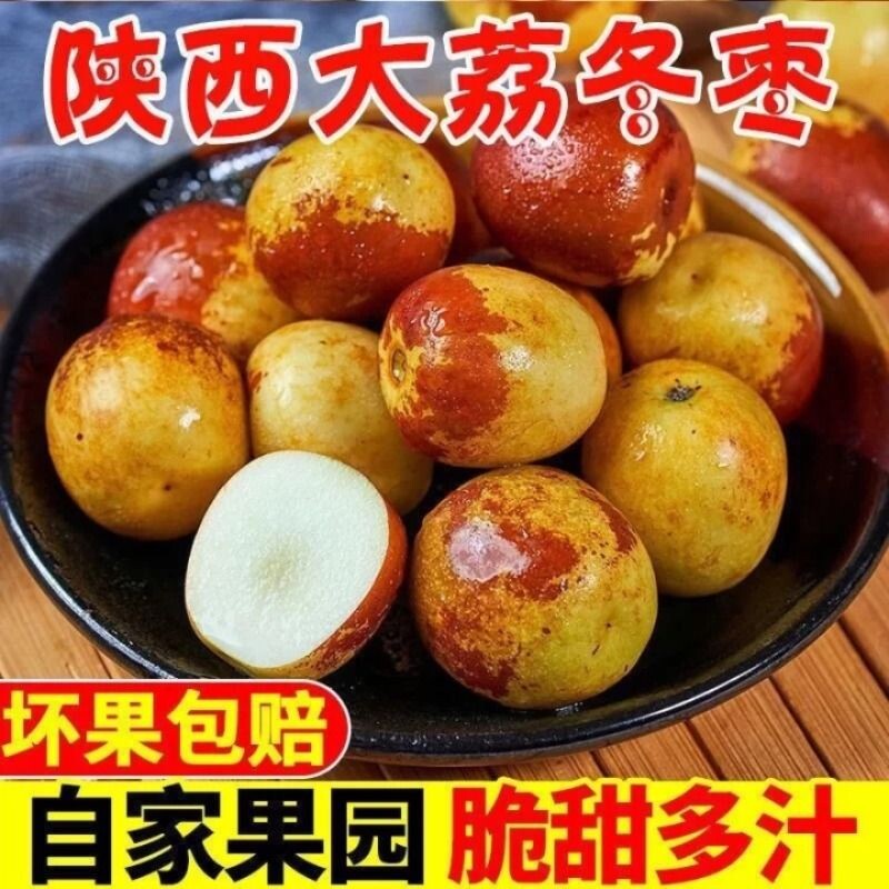 【自家果园】陕西大荔冬枣脆甜好吃新鲜水果冬枣大枣鲜枣子包邮