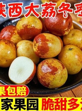【自家果园】陕西大荔冬枣脆甜好吃新鲜水果冬枣大枣鲜枣子包邮