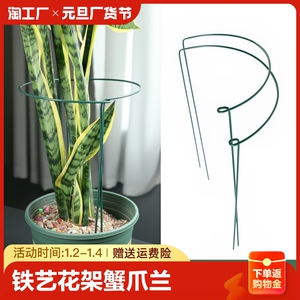 铁艺花架蟹爪兰龟背竹支撑架月季爬藤架植物花支架半圆护叶架爱心