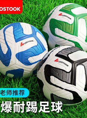 洛斯托克专业足球6-12岁训练耐磨