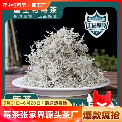 张家界莓茶垕王村正品龙须芽尖茶