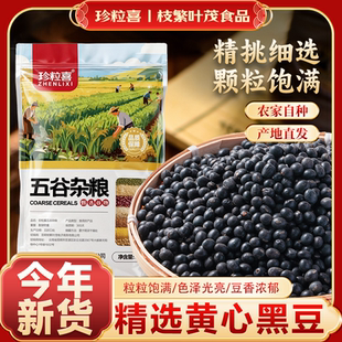 云南特产黄心黑豆新货农家自种五谷杂粮绿心非煮粥粗粮饭粥优质豆
