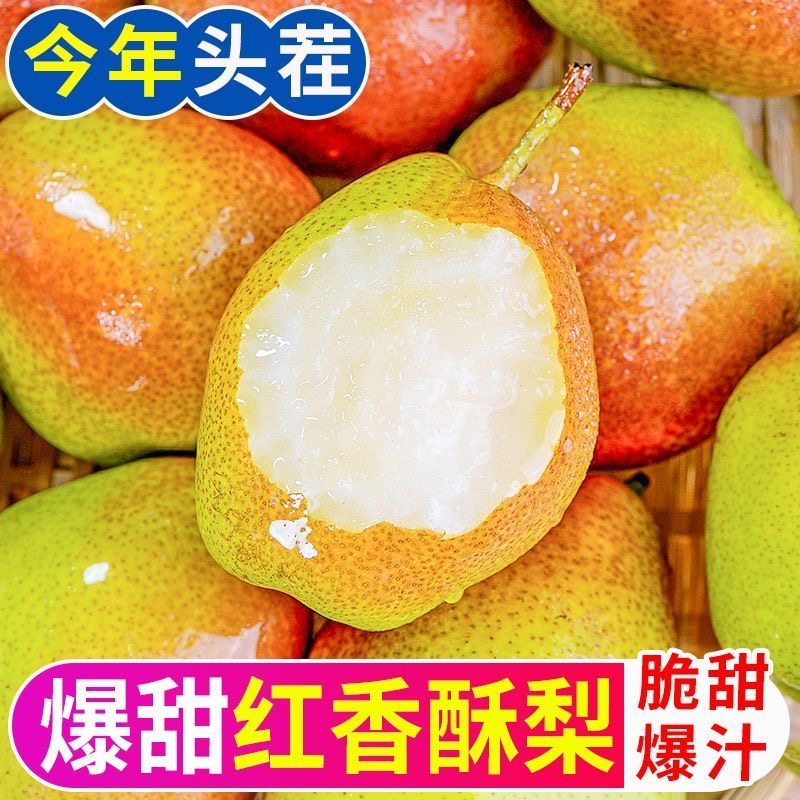 正宗头茬红香酥梨新鲜当季现摘香梨青梨子脆甜特产新鲜水果整箱