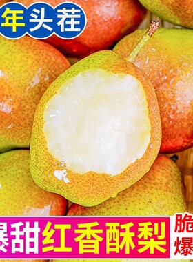 正宗头茬红香酥梨新鲜当季现摘香梨青梨子脆甜特产新鲜水果整箱