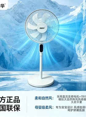 高路华电风扇遥控语音智能家用立式落地扇静音无声变频直流大风力
