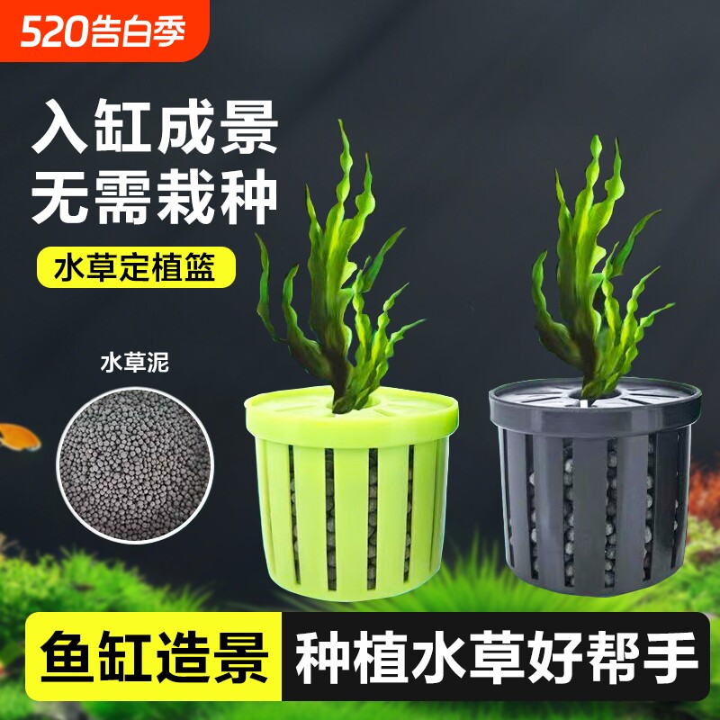水草篮鱼缸水草定植篮沉水杯造景装饰养草杯固根器水草泥种植转角