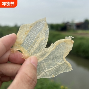 野生白花胶深海大岛货白纯公肚养颜鱼胶干货正品月子滋补品养生