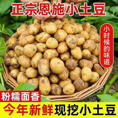 恩施小土豆现挖新鲜黄心