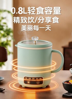 电煮杯小型一人养生杯迷你炖盅旅行便携式电炖杯新款多功能电煮锅