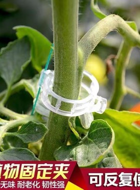 植物卡扣绑蔓夹瓜果蔬爬藤吊
