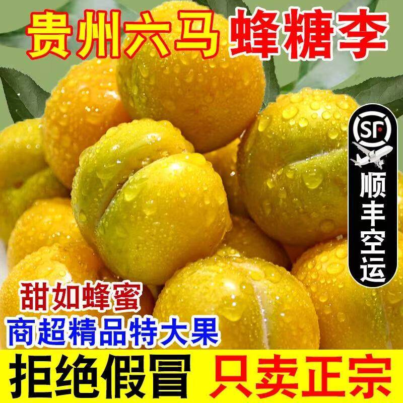 当地正宗贵州六马蜂糖李当季新鲜现摘脱骨脆李纯甜无酸孕妇水果