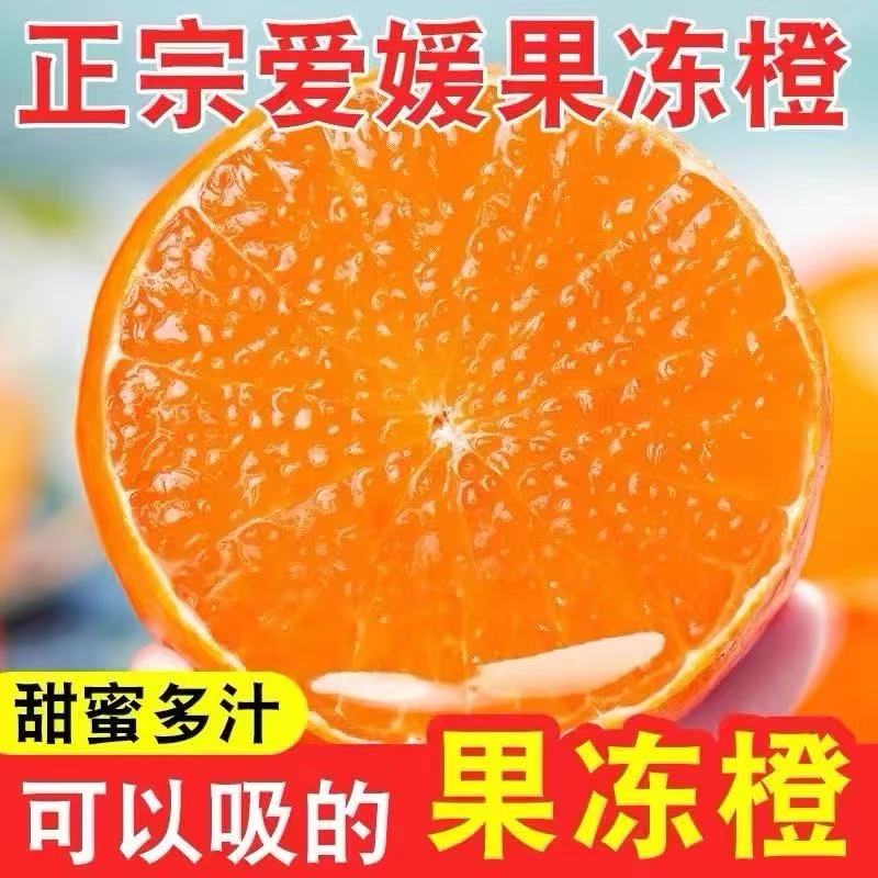 正宗爱媛38号果冻橙当季新鲜橙子孕妇水果整箱四川甜柑橘大果包邮