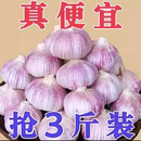 2025年新蒜山东大蒜头干蒜紫皮大蒜多瓣蒜产地批发价 包邮