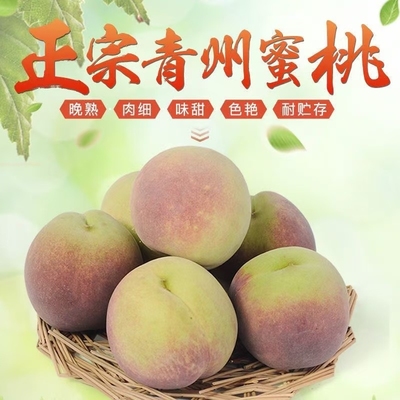 甜冬桃山东青州蜜桃雪桃桃子新鲜毛桃现发孕妇水果脆甜冬桃产地