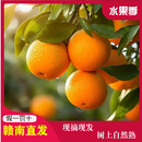 新鲜现摘当季 新鲜水果手剥脐橙赣南脐橙10斤 水果正宗江西橙子当季