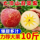 四川大凉山冰糖心丑苹果10斤新鲜苹果水果5斤盐源红富士脆甜自然