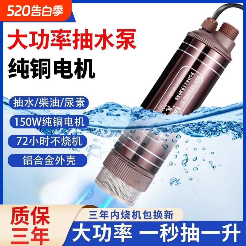 大功率电动抽水泵小型潜水泵家用12V220伏24抽油泵神器柴油油