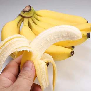 福建漳州天宝香蕉黄香蕉新货现摘超甜水果大人孩子都爱吃软弱香甜