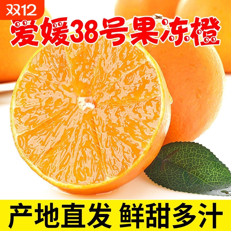 四川爱媛38号果冻橙橙子新鲜水果