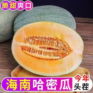 正宗海南哈密瓜西州密25号薄皮爆甜应当季新鲜水果一整箱老少皆宜