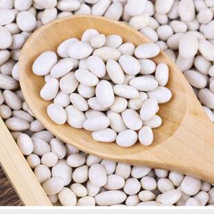云南小白豆珍珠豆小白豆炖菜煲汤农家小白芸豆小雪豆豆类杂粮