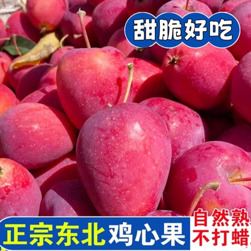 正宗东北鸡心果甜酸脆新鲜锦绣海棠果现摘应季水果小苹果沙果包邮